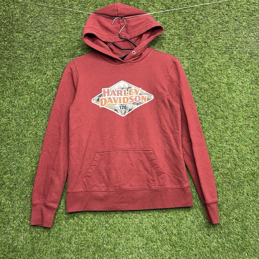Harley Davidson Hoodie Womens Small Pullover Sweatshirt 120th Anniversary y2k